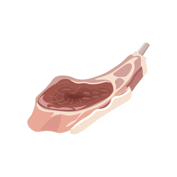 Lammrippenfleisch — Stockvektor