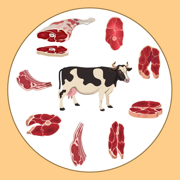 Carne de vaca e de bovino — Vetor de Stock