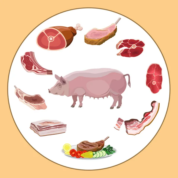 Pig and pork meat — Stock Vector