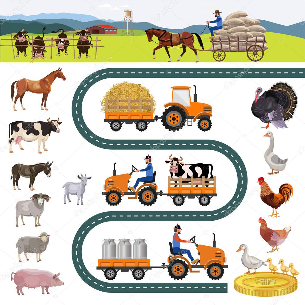 Farm and farm animals