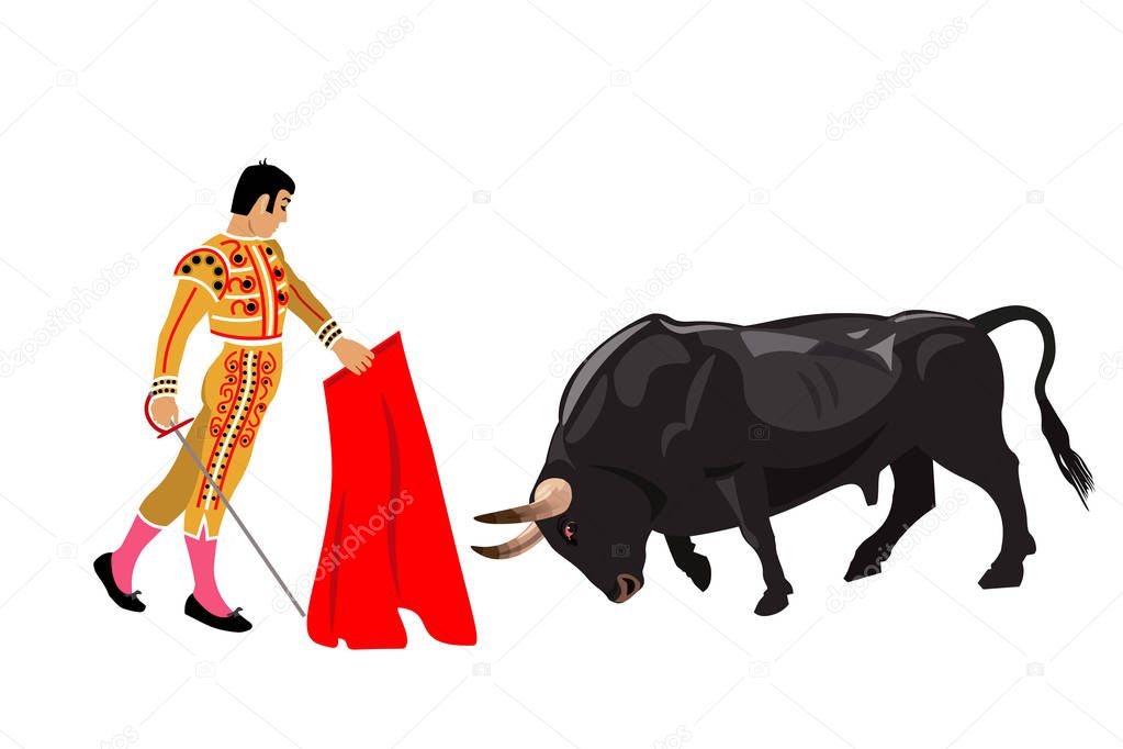 Bullfighting. Bull and matador