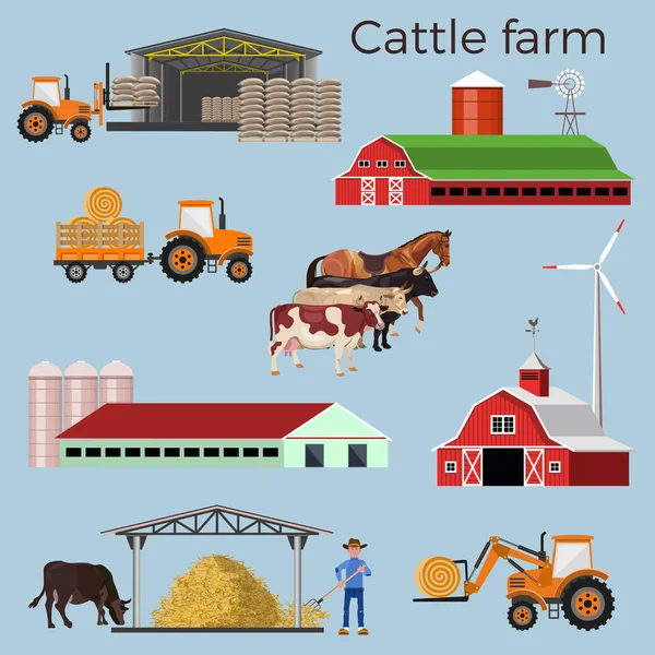 Illustrations vectorielles des élevages bovins — Image vectorielle