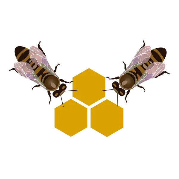与工作蜜蜂的蜂巢 — 图库矢量图片