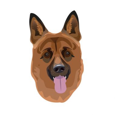 Alman çoban köpeği.