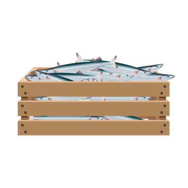 Ahşap sandık içinde balık