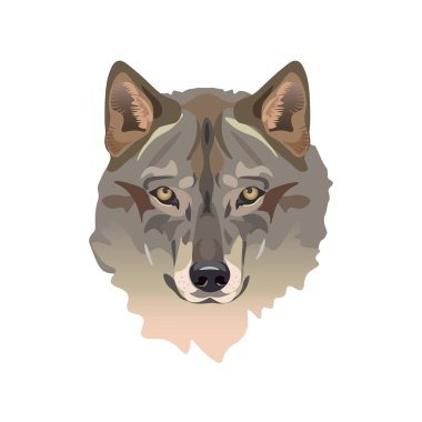 Wolf'un baş vektör