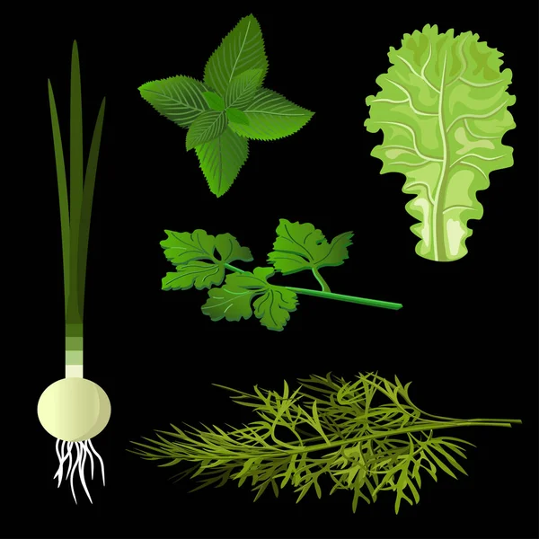 Aroma Kräuter und Gemüse — Stockvektor