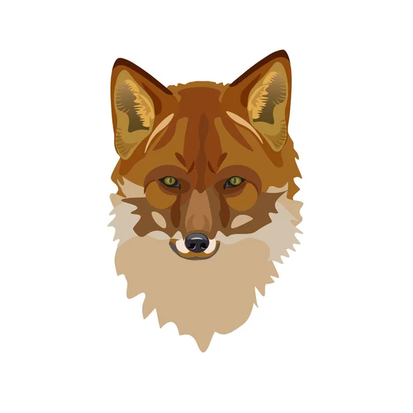 Hoofd van fox — Stockvector