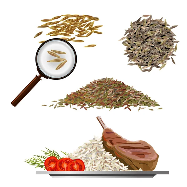 Kimyon vektör çizimler