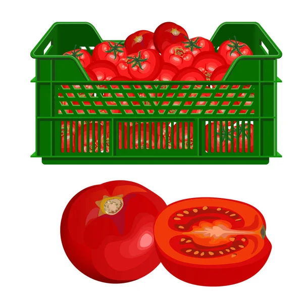 Tomates y cajas de plástico — Archivo Imágenes Vectoriales © newgena