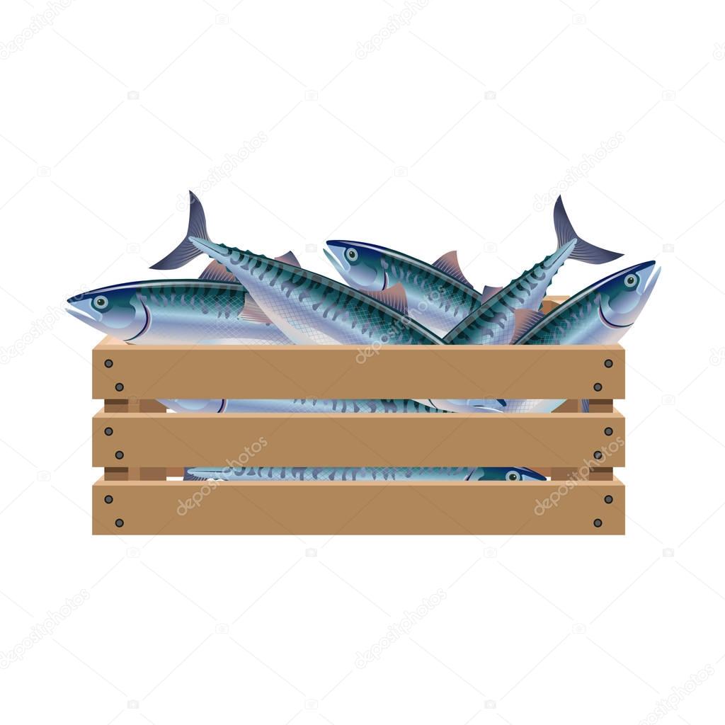 Fish in wooden crate