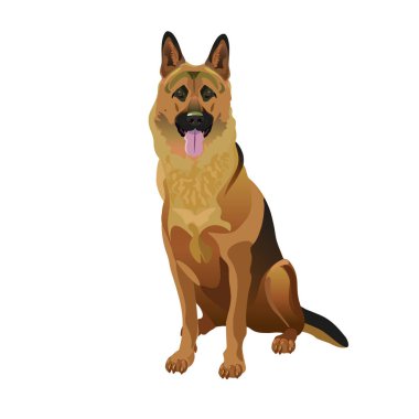 Alman çoban köpeği.