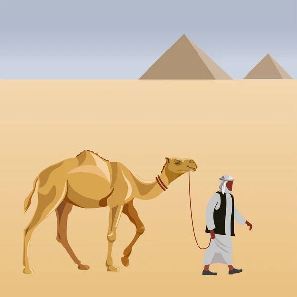 Camélière avec chameau — Image vectorielle