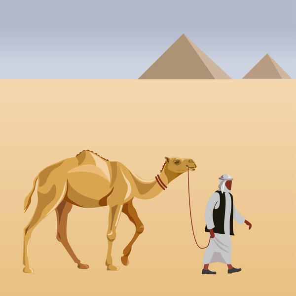 Cameleer с верблюдом
