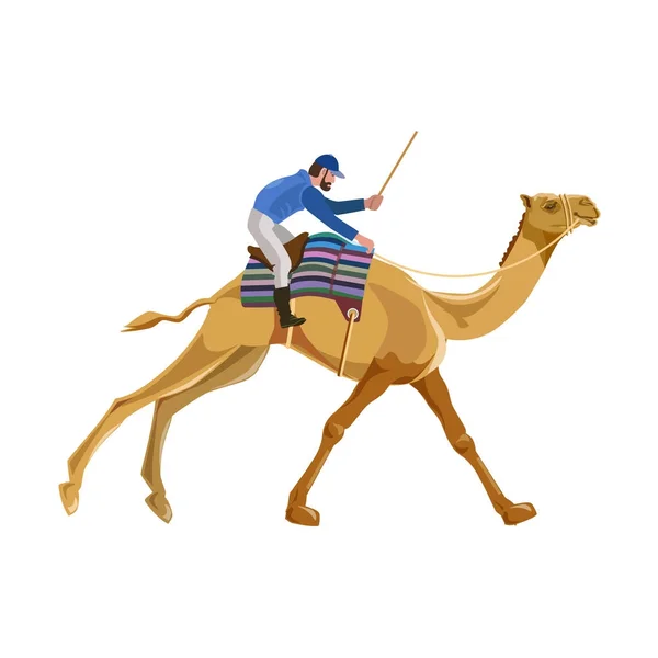 Jóquei em um camelo —  Vetores de Stock