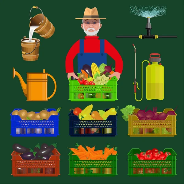 Agricultor con verduras — Vector de stock