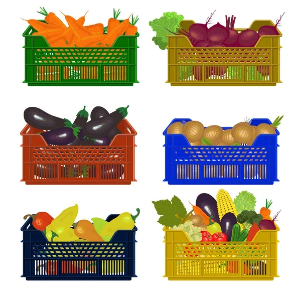 Cajas de plástico con verduras — Vector de stock