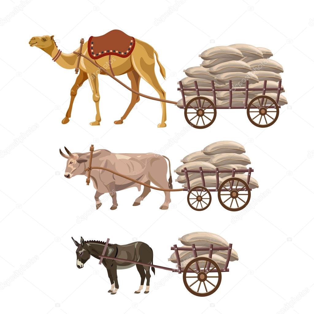 Draft animals with carts
