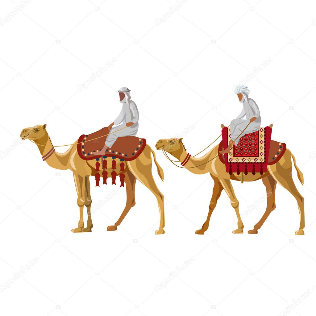 Arab men riding a camel