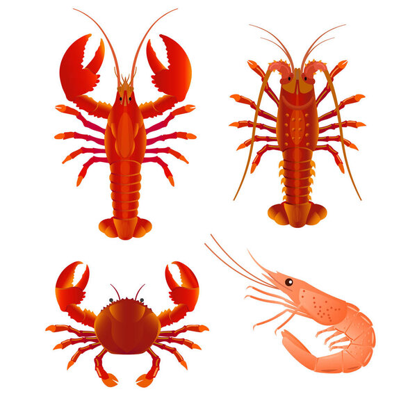 Seafood set vector