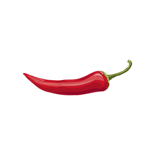 Chili vector pimienta — Vector de stock