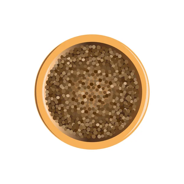 Vecteur de graines de coriandre — Image vectorielle