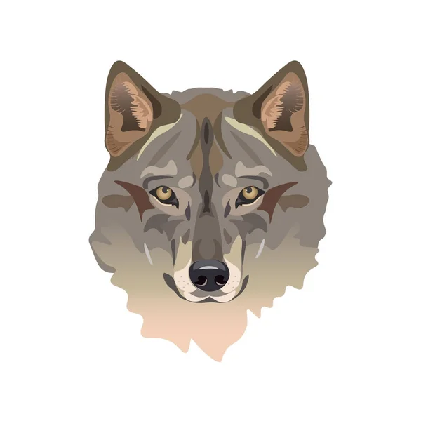 Vector de cabeza de lobo — Archivo Imágenes Vectoriales