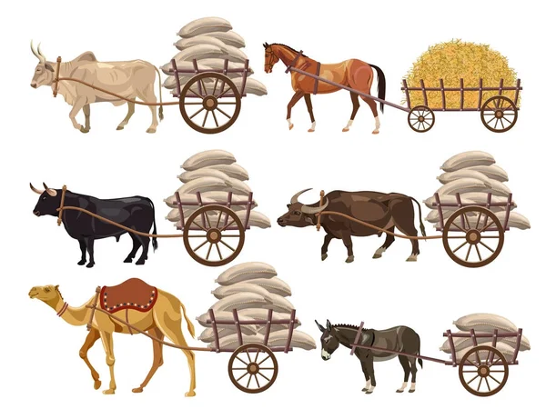 Transporte alimentado por animales — Archivo Imágenes Vectoriales