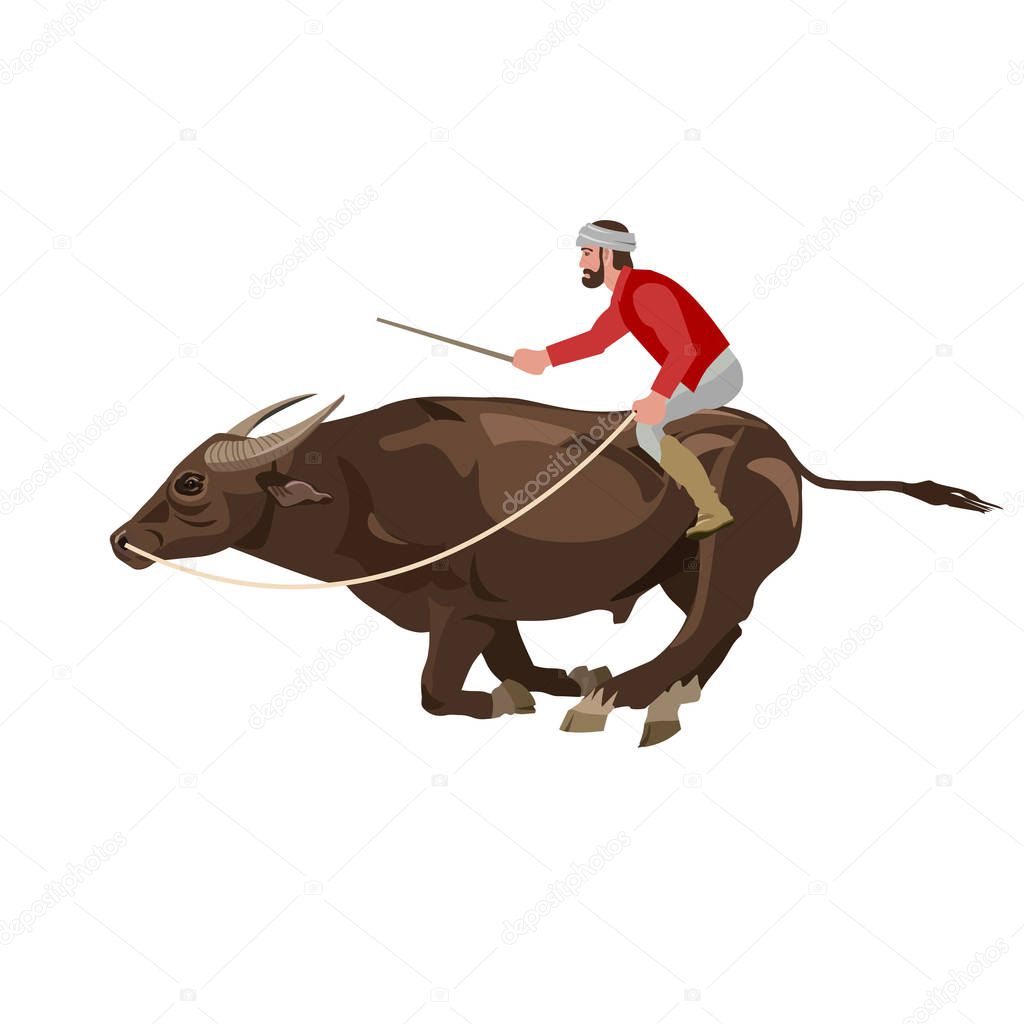 Bull racing vector