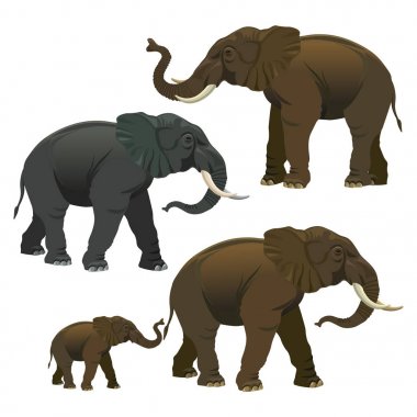 Vektör filler topluluğu