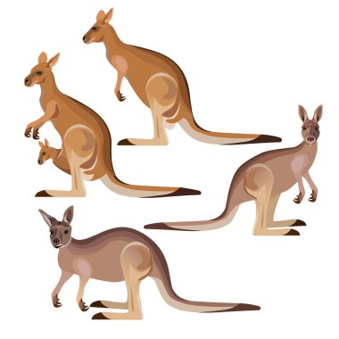 Vektör kanguru kümesi