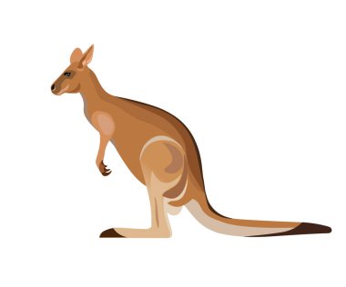 Kırmızı kanguru vektör