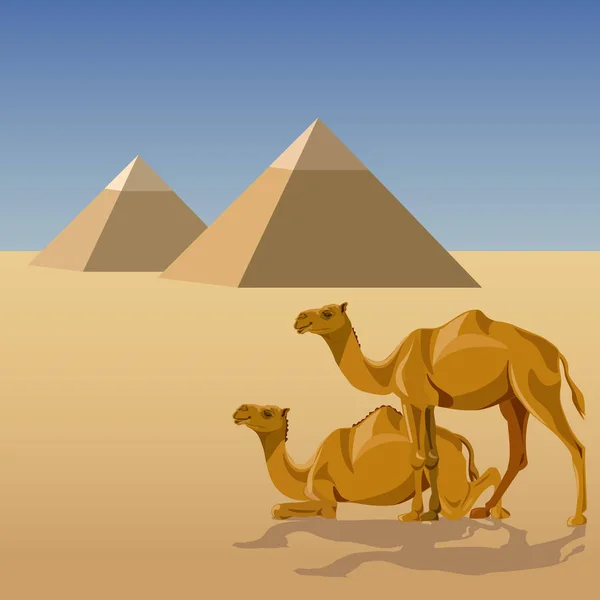 Camellos y Pirámides — Vector de stock