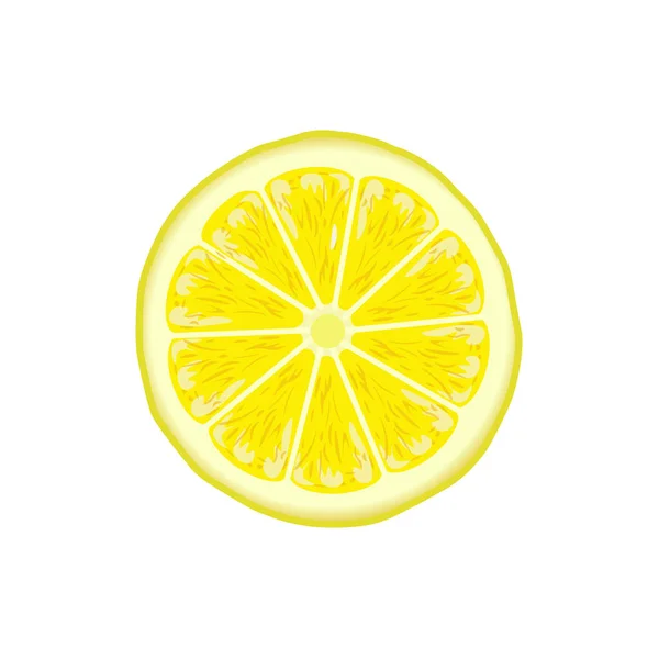 Sección de limón fresco — Vector de stock