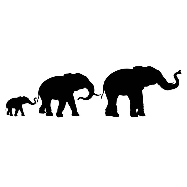 Силуэты слонов — стоковый вектор