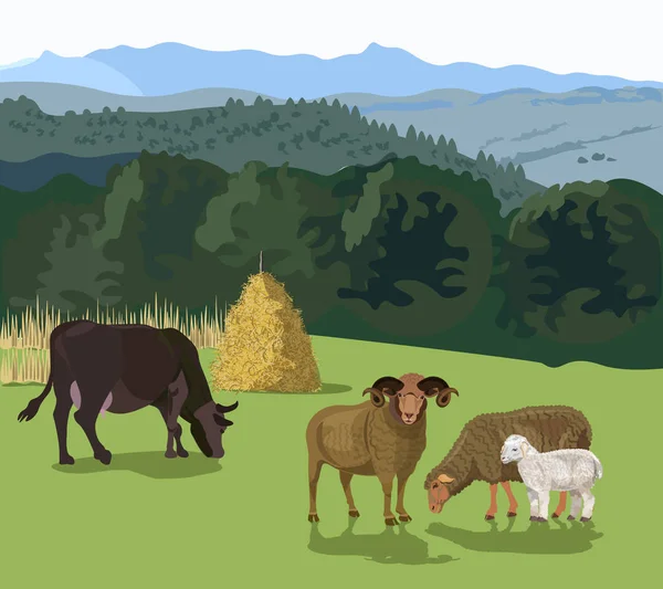 Grazing de ganado en un prado — Vector de stock