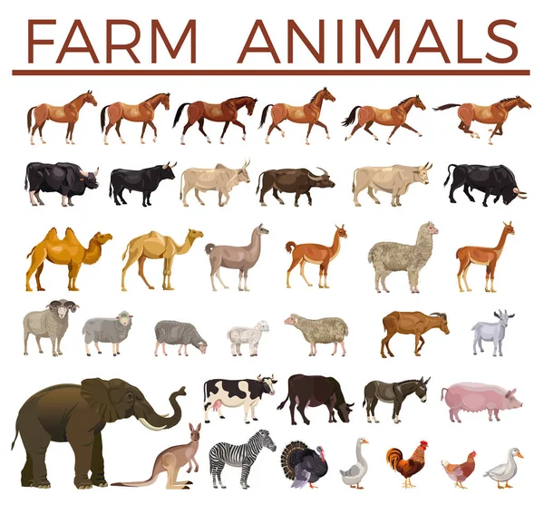 Vector animales de granja — Vector de stock