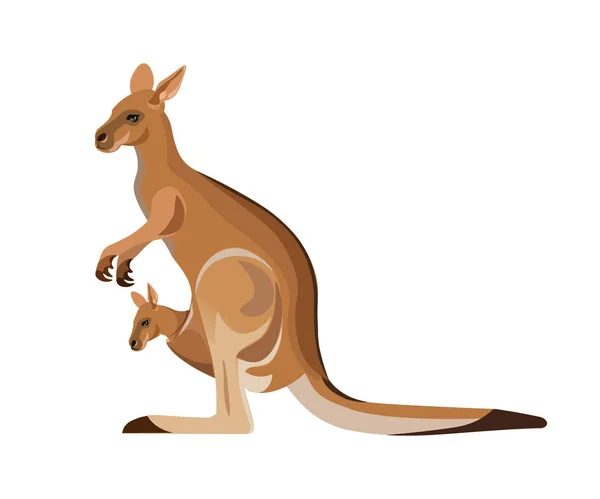 Känguru trägt ein Baby — Stockvektor