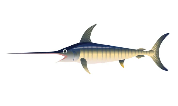 Vecteur de marlin bleu — Image vectorielle