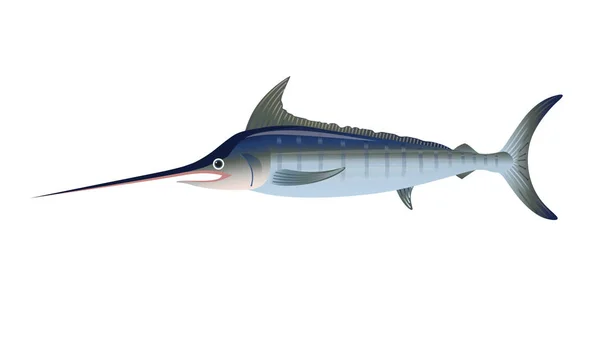 Atlantic blue marlin — Stockový vektor