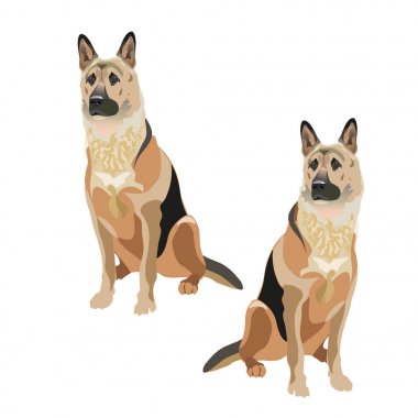 Doğu Avrupa çoban köpekleri