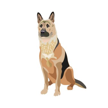 Doğu Avrupa çoban köpeği