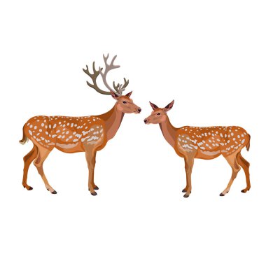 Pair of fallow deer clipart