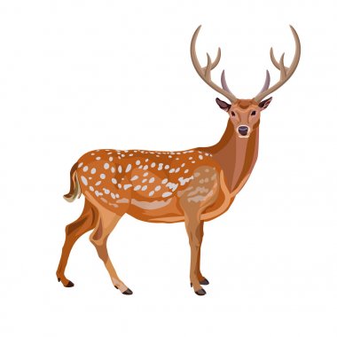 alageyik buck