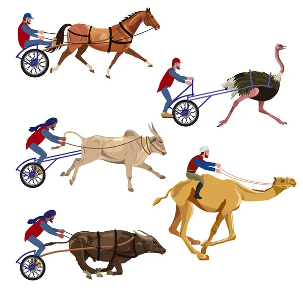 Animal races set — Stock Vector