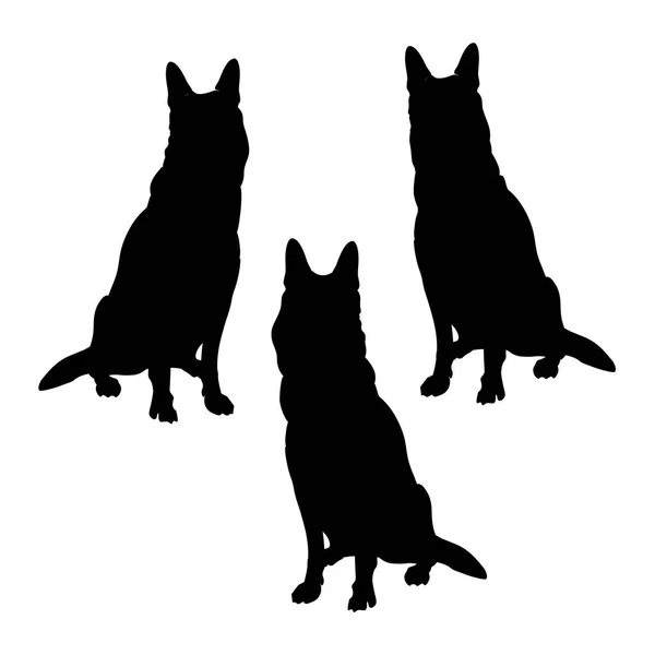 German shepherd dogs silhouettes — Stock Vector