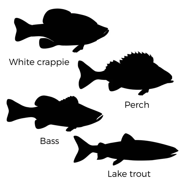 Silhouetten von Süßwasserfischen — Stockvektor