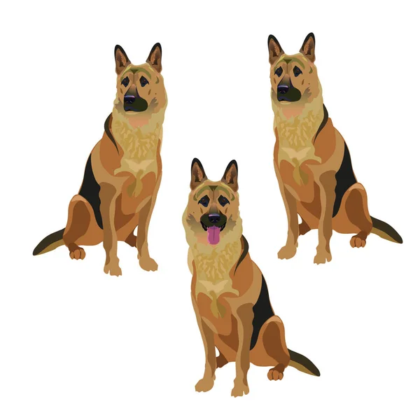 Chiens de berger allemands — Image vectorielle