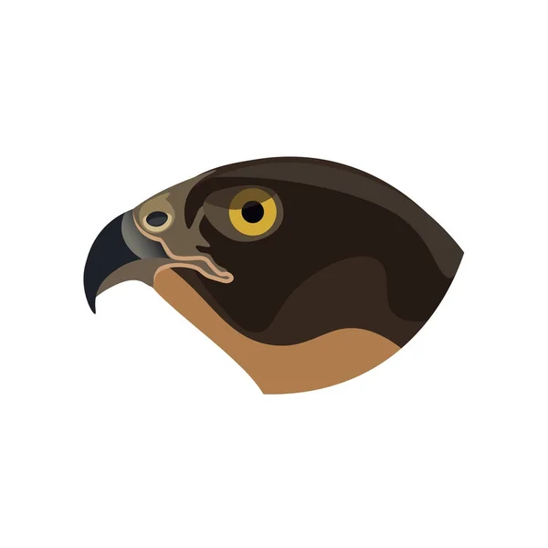 Vector de cabeza de halcón — Vector de stock