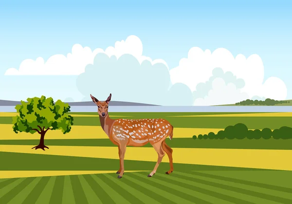 Летний пейзаж с оленями — стоковый вектор